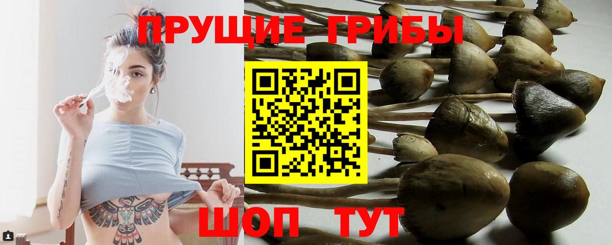 Галлюциногенные грибы прущие грибы Грязи